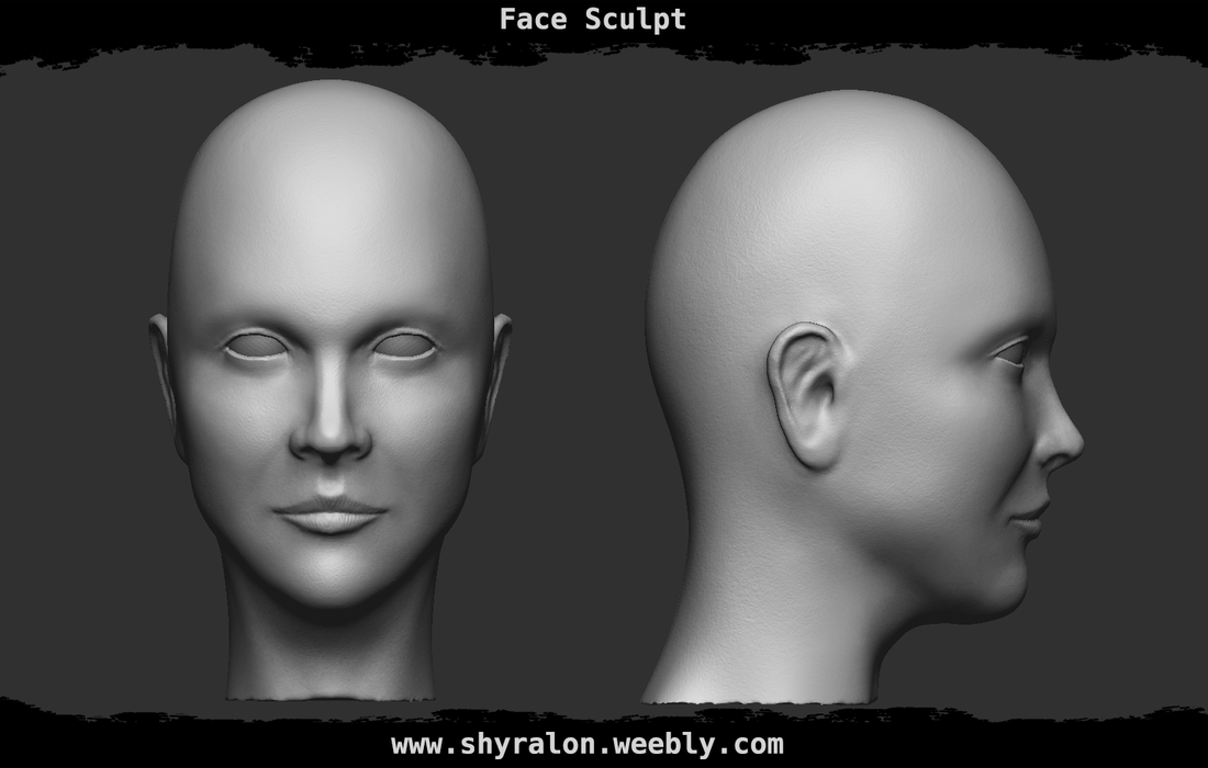 Face sculpt - Ramon Schauer